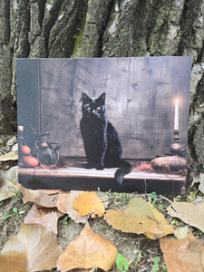 Black cat 11 x 14 canvas